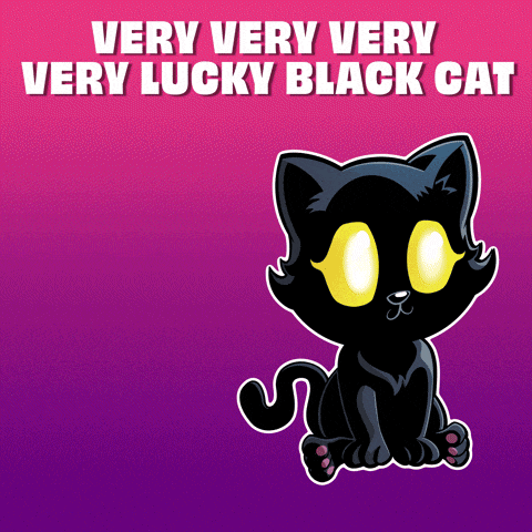 Black Cat Create GIF