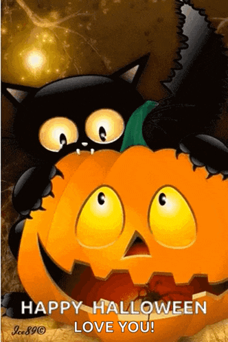 Black Cat Halloween GIF