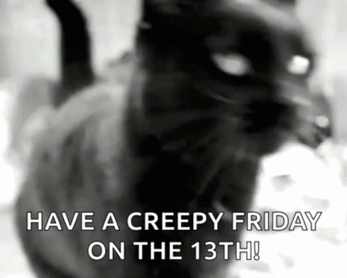 Black Cat Happy Friday The13th GIF