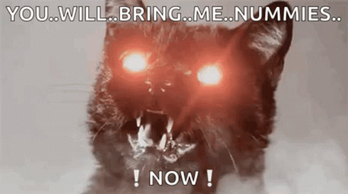 Black Cat Hiss GIF