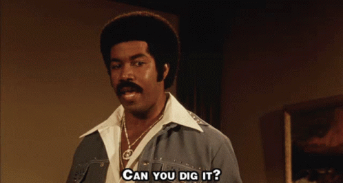 Black Dynamite Can You Dig It GIF