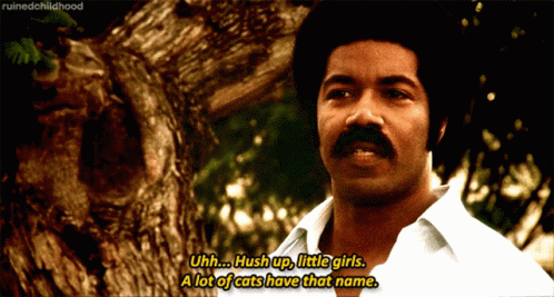 Black Dynamite Hush Up Little Girls GIF