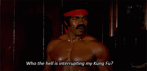 Black Dynamite Who The Hell Is Interrupting My Kung Fu GIF