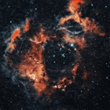 Black Hole Universe Theory Meme