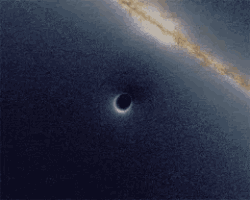 Black Howl GIF