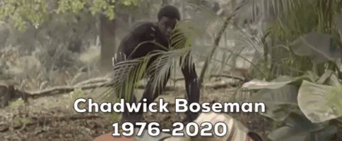 Black Panther Chadwick Boseman GIF