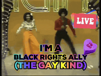 Black Rights Ally Gay Black Rights Ally GIF