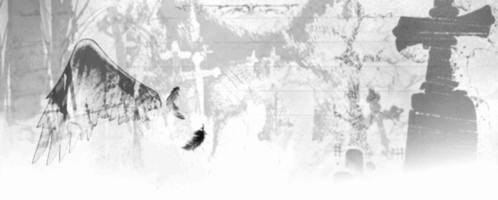 Black White GIF