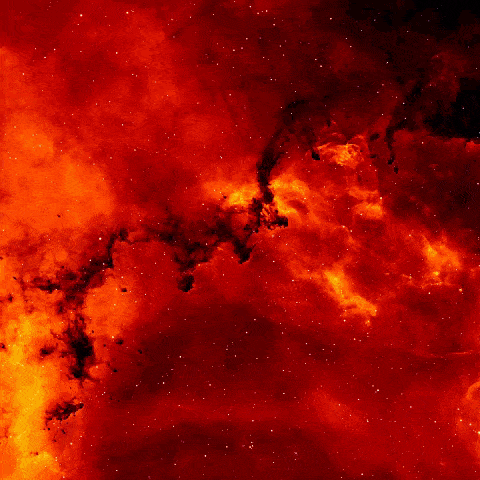 Blackmaria1234 Blackmaria0987 GIF