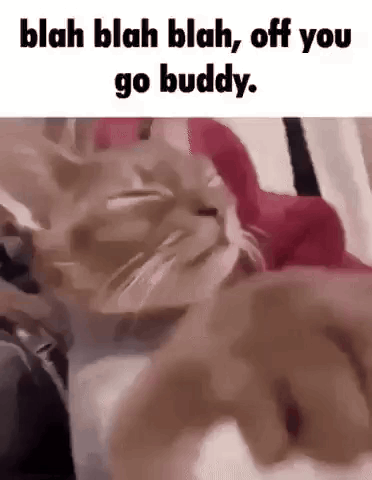 Blah Blah Blah Off You Go Buddy GIF