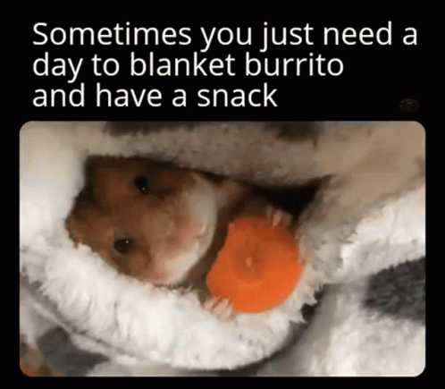 Blanket Burrito Blanket GIF