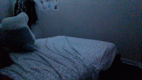 Blanket Burrito GIF