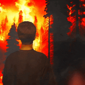 Blaze Burning GIF
