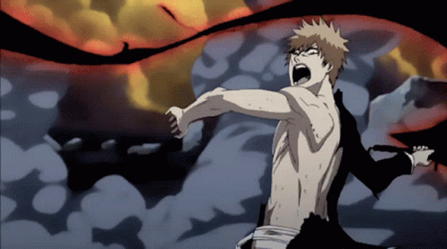 Bleach Anime GIF