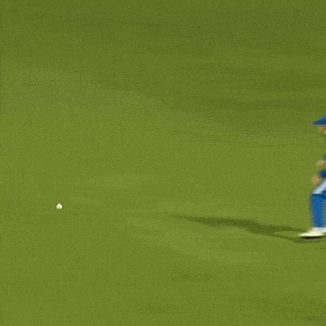 Bleed Blue Indian Cricket Team GIF