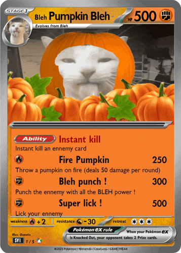 Bleh Cat Meme Meme