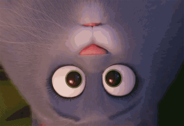 Bleh Meow GIF