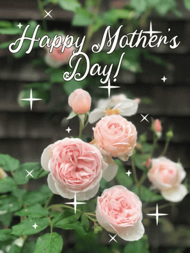 Blessed Mothers Day GIF