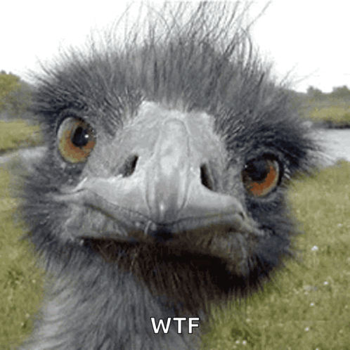 Blinking Bad Hair Day GIF