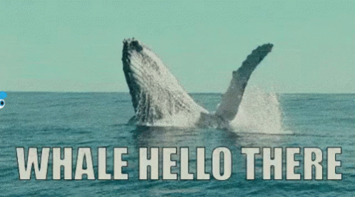 Blinkless Whale GIF