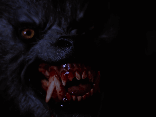 Blood Teeth GIF