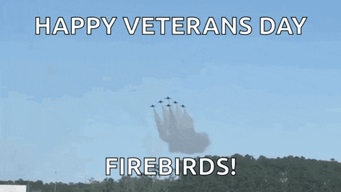 Blue Angels Navy Jets GIF