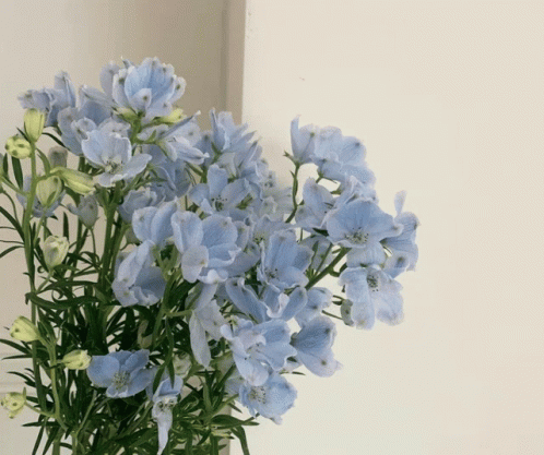 Blue Kpop Gif Nayeon Twice Gif GIF. This 498 x 417 animated GIF is part of our pastel aesthetic collection. Created by tenni. View the original animation…