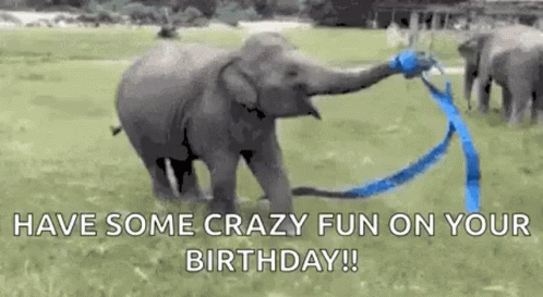 Blue Ribbon Elephant GIF