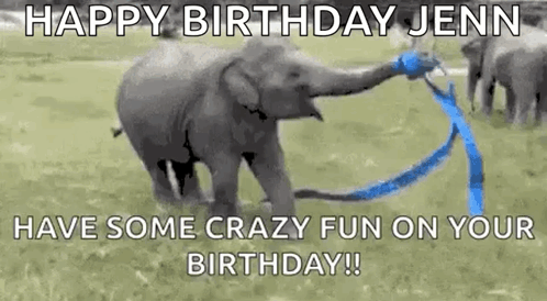 Blue Ribbon Elephant GIF