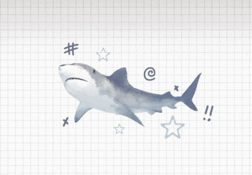 Blue Shark Meme