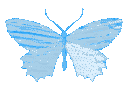 Blue Shining Butterfly Sticker