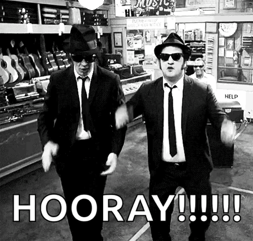 Blues Brothers GIF