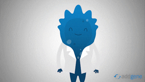 Blugene Construction GIF