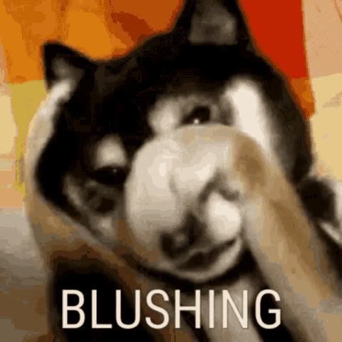 Blushing Shy GIF