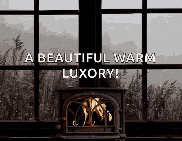 Blustery Weather GIF
