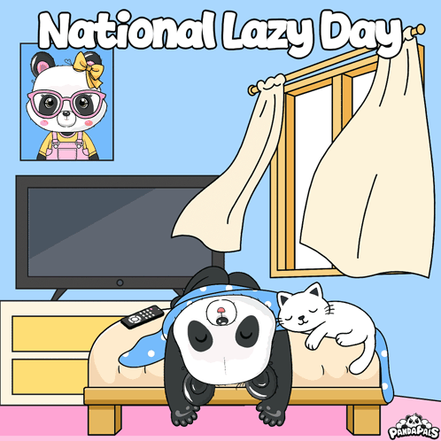 Bm Cat GIF