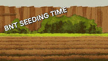 Bnt Seed GIF