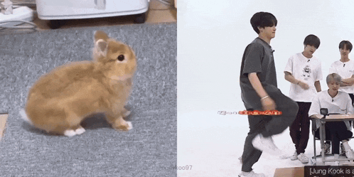Bnuykoo Bunkoo GIF