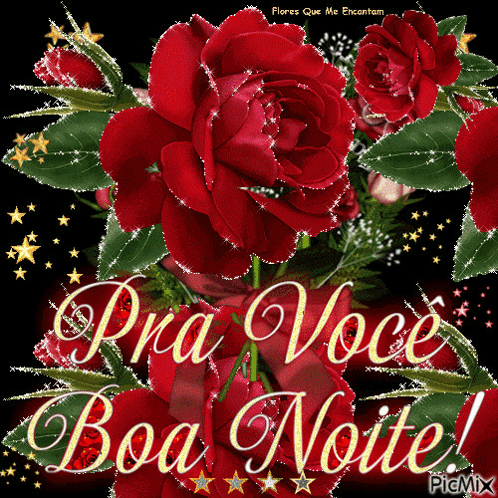 Boa Noite Rosas Brilhantes Lindas GIF