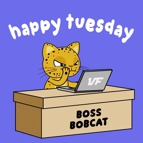 Bobcat Boss GIF