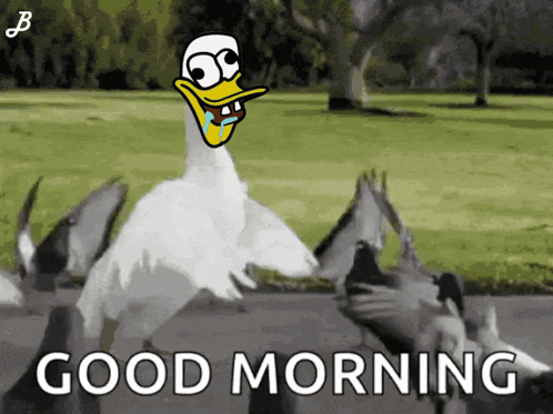Bobithememelord Thechosendux GIF