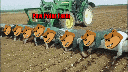 Boi Boithebear GIF