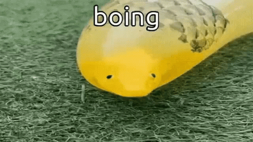 Boing Balloon GIF
