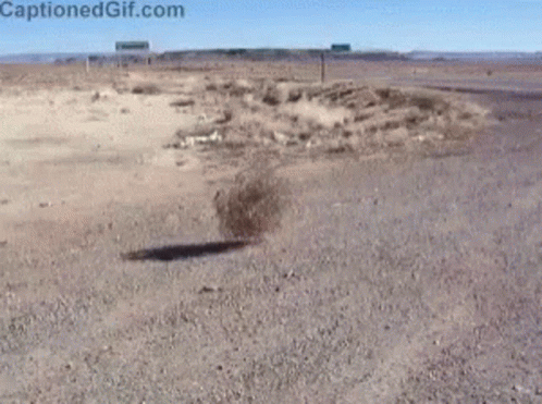 Bola De Feno Rolando No Deserto GIF