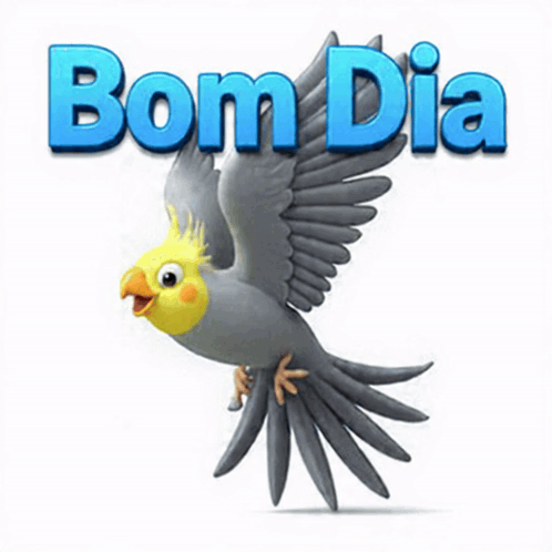 Bom Dia Calopsita GIF