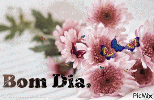 Bom Dia Good Day GIF