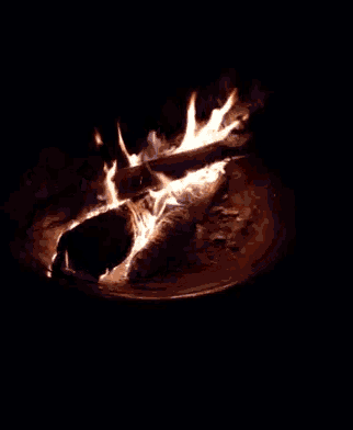 Bon Fire F Ire GIF