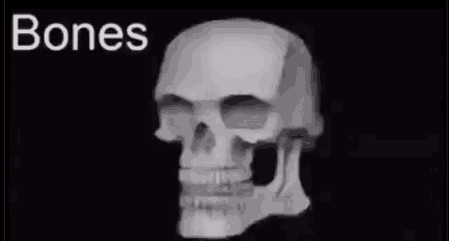 Boner Bones GIF