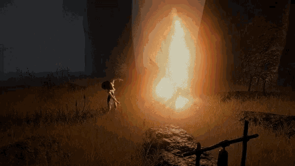 Bonfire Fire GIF