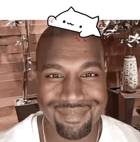 Bongocatsolana Bongosolana GIF